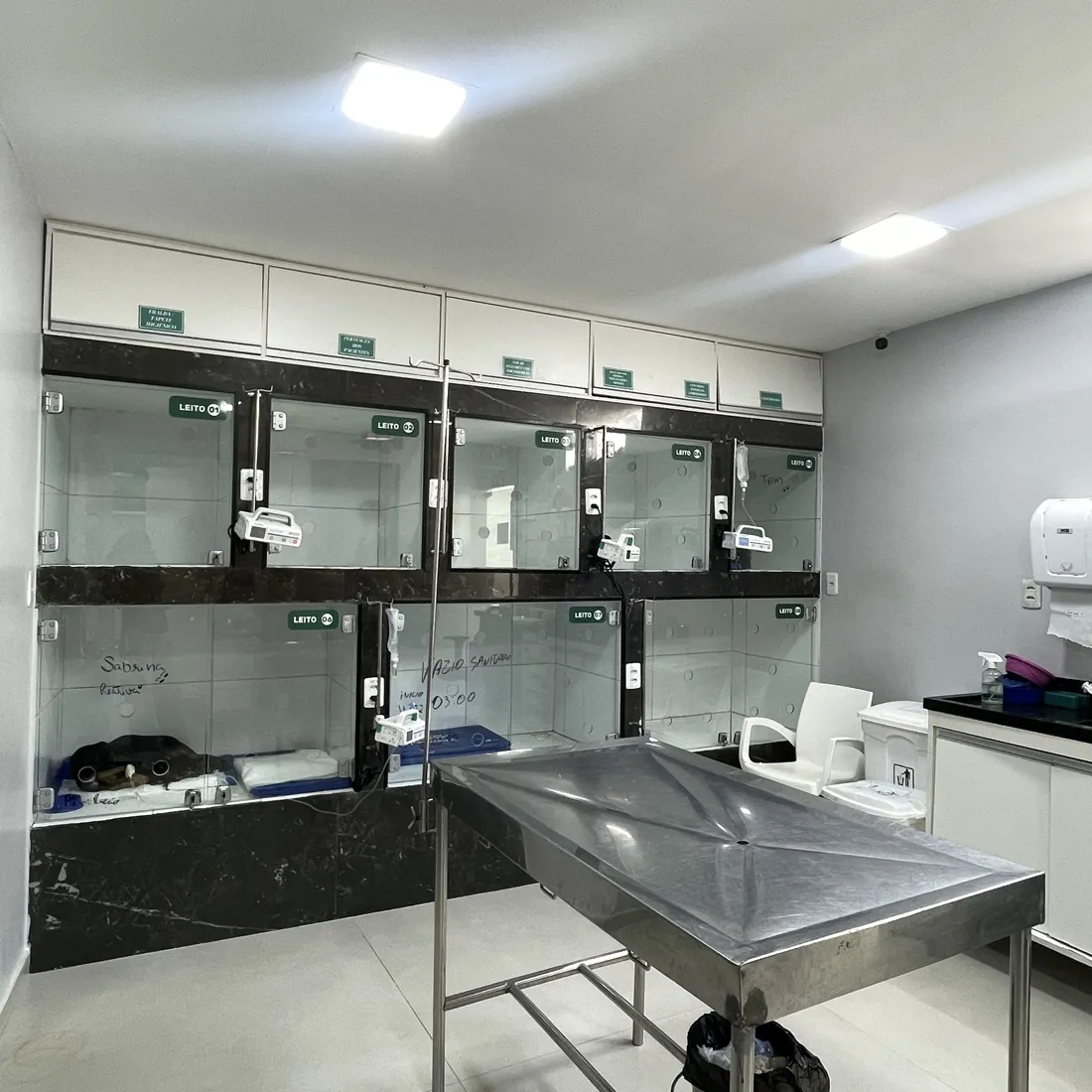 Internação do Hospital Veterinário CEVET em Feira de Santana, Bahia